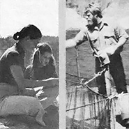 Suncoast Seabird Sanctuary, Herb Doctor, and Other Profiles